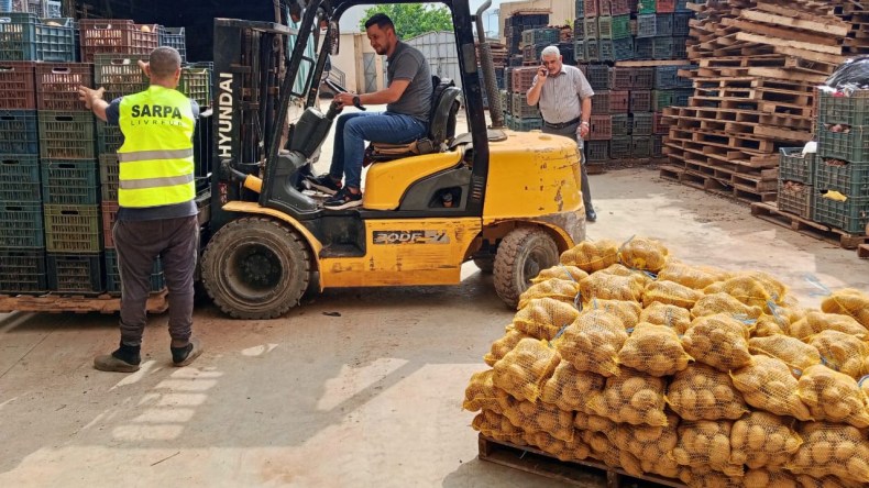 توسيع تسويق البطاطا المخزنة إلى خمس نقاط بيع خلال أسبوع