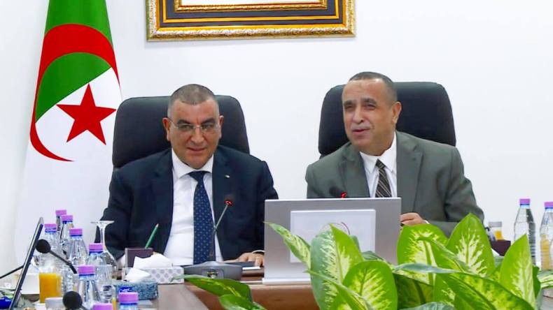 تنسيق حكومي لتسريع مشاريع السكك الحديدية ومعالجة تقاطعات الطاقة