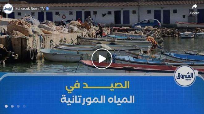 الصيد في المياه المورتانية .. خطوة استراتيجية لتعزيز الأمن الغذائي والتعاون الاقتصادي