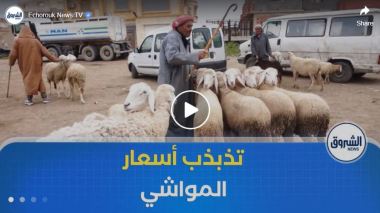 تذبذب أسعار المواشي في أسواق المسيلة وسط إقبال ضعيف للمواطنين