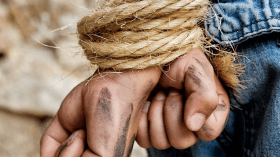 قاعدة بيانات ورقم أخضر للتبليغ عن جرائم الاتجار بالبشر