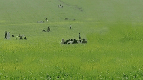 نُزهات الرّبيع تتحول إلى مخاطر تهدد جُهود الفلاحين!