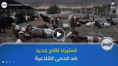 استيراد لقاح جديد من الأرجنتين ضد الحمى القلاعية و انطلاق الحملة الوطنية للتلقيح