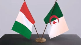 إطلاق فدرالية الطلبة والنخبة الجزائرية في إيطاليا
