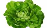 تعرّف على فوائد الخس المذهلة لمرضى السكري