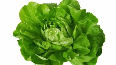 تعرّف على فوائد الخس المذهلة لمرضى السكري