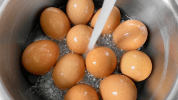 هل يجب غسل البيض قبل طهيه؟ إليك ما يقوله الخبراء