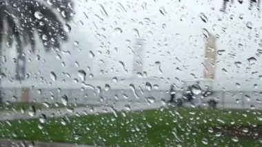 Persistance des pluies samedi sur plusieurs wilayas du pays