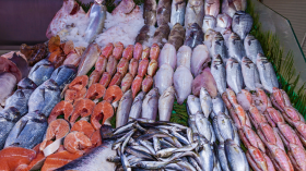 هذه الأسماك الموريتانية على موائد الجزائريين قريبًا