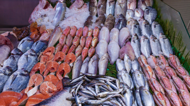 هذه الأسماك الموريتانية على موائد الجزائريين قريبًا