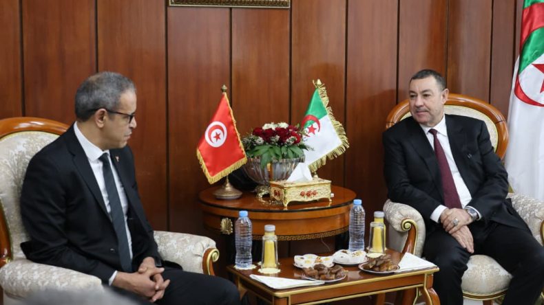 سعيود يستقبل رئيس المجلس الوطني للأقاليم والجهات التونسي