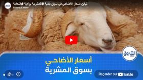 تباين أسعار الأضاحي في سوق بلدية المشرية بولاية النعامة