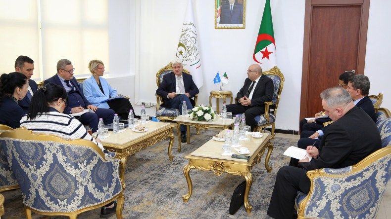 اليونيسف مهتمة بالتزود بالأدوية ولقاحات الأطفال الجزائرية