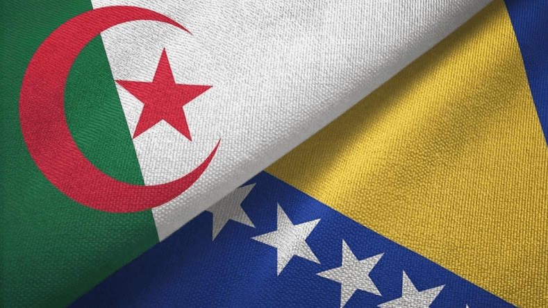 الجزائر تبحث سبل تعزيز الشراكة مع البوسنة والهرسك في هذه المجالات