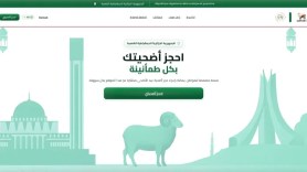 منصة “أضاحي”.. هل قدمت تجربة رقمية ناجحة؟