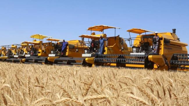 برنامج عاجل لتكوين سائقي الحصادات لمواجهة نقص الكفاءات وتقليص ضياع المحاصيل