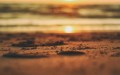 3 مدن جزائرية تسجل أعلى درجات الحرارة عالميًا