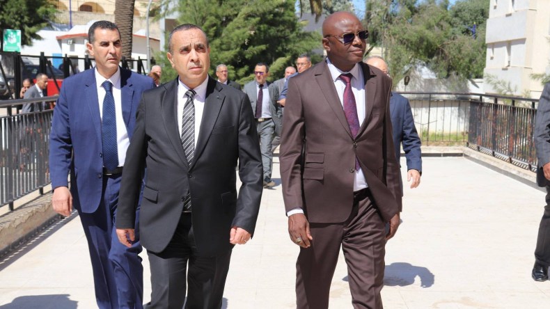 الجزائر والتشاد تجسدان شراكة طاقوية بمشروع محطة كهرباء بقدرة 40 ميغاواط