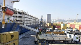 ميناء الجزائر يستقبل شحنتين جديدتين من الأغنام المستوردة