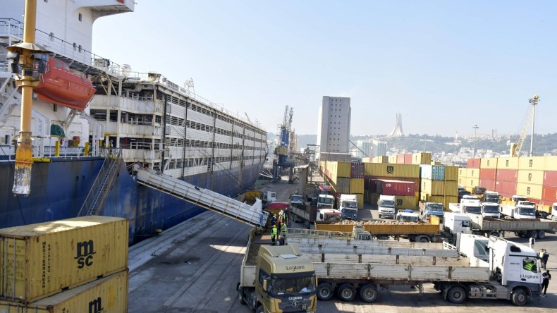 ميناء الجزائر يستقبل شحنتين جديدتين من الأغنام المستوردة