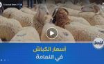 رغم تراجع أسعار الأضاحي .. ركود في سوق المواشي ببلدية المشرية في ولاية النعامة