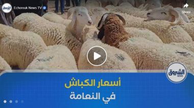 رغم تراجع أسعار الأضاحي .. ركود في سوق المواشي ببلدية المشرية في ولاية النعامة