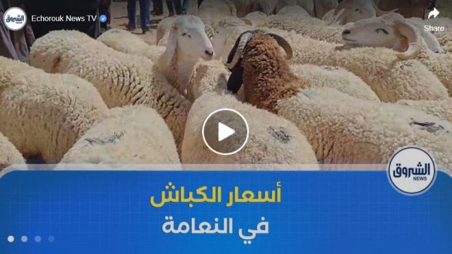 رغم تراجع أسعار الأضاحي .. ركود في سوق المواشي ببلدية المشرية في ولاية النعامة