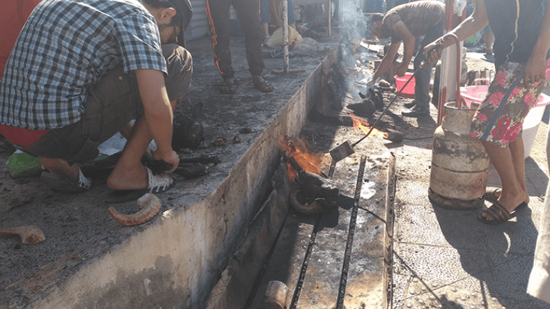 شباب ينقذون “البوزلوف” من حاويات القمامة