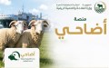 أرقام جديدة من “أضاحي”.. هل تقترب شحنات الأغنام من بلوغ هدف المليون؟
