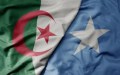 الجزائر والصومال تبحثان توسيع التعاون في المحروقات والتكوين الطاقوي