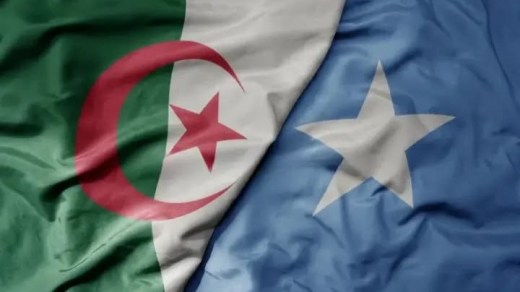 الجزائر والصومال تبحثان توسيع التعاون في المحروقات والتكوين الطاقوي
