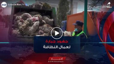 عمال النظافة في تبسة.. جهود جبارة في عيد الأضحى للحفاظ على نظافة الأحياء