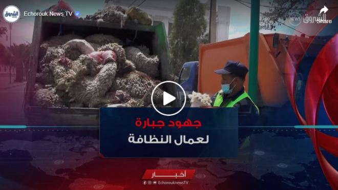 عمال النظافة في تبسة.. جهود جبارة في عيد الأضحى للحفاظ على نظافة الأحياء
