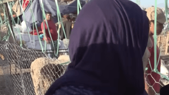 بالفيديو.. سيدة جزائرية تصنع الحدث داخل سوق للمواشي!