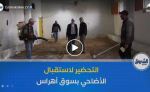 ضبط كل التحضيرات لاستقبال وبيع الأضاحي المستوردة بولاية سوق أهراس