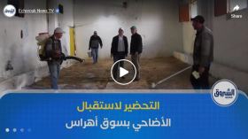 ضبط كل التحضيرات لاستقبال وبيع الأضاحي المستوردة بولاية سوق أهراس