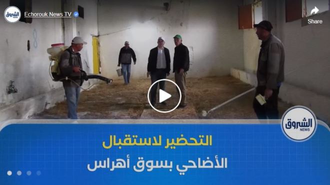 ضبط كل التحضيرات لاستقبال وبيع الأضاحي المستوردة بولاية سوق أهراس