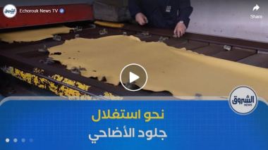 الحكومة تتجه لاستغلال كل جزء مهدور من جلود الأضاحي
