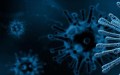 France: Huit cas contacts d’hantavirus rapatriés à Paris pour quarantaine renforcée
