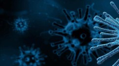 France: Huit cas contacts d’hantavirus rapatriés à Paris pour quarantaine renforcée