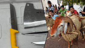 تحذيرات من حوادث خطيرة بسبب معدات الذبح