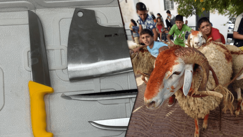 تحذيرات من حوادث خطيرة بسبب معدات الذبح