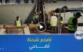 وصول أضخم شحنة من الأضاحي المستوردة إلى ميناء جن جن في ولاية جيجل