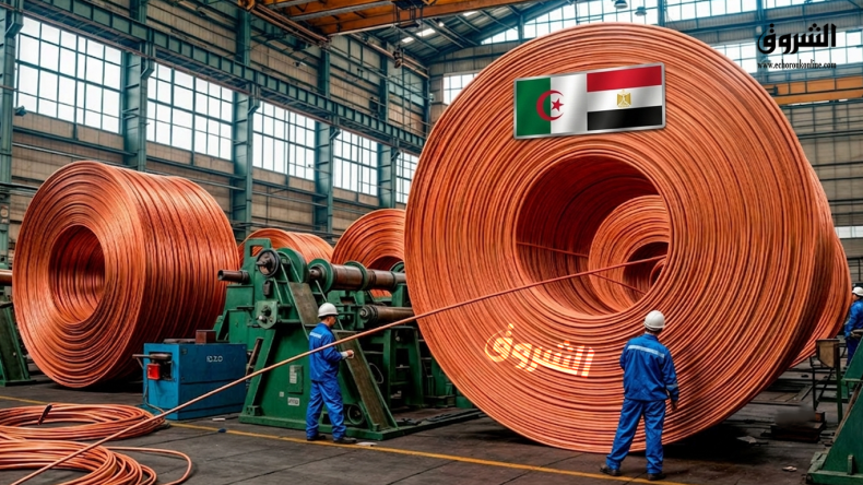 شركة مصرية تقلّص واردات النحاس في الجزائر بـ 100 مليون دولار سنوياً