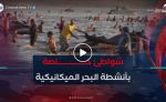شواطئ خاصة بالأنشطة البحرية الميكانيكية..رهان على سلامة المصطافين وجاذبية للوجهات الساحلية