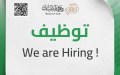 1366 منصبًا جديدًا.. وزارة الشباب تطلق عملية توظيف واسعة