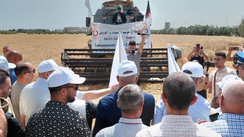 انطلاق حملة الحصاد والدرس لموسم 2025-2026 بولاية الجزائر