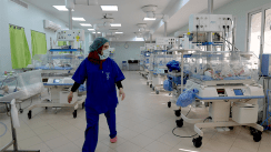 Algeria’s Demographic Advantage as Morocco Faces a New Fertility Decline