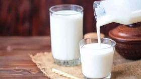 في الصّيف ضيّعنا اللّبن!