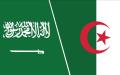 الوكالة الجزائرية لترقية الاستثمار تستقبل وفد رجال أعمال سعودي